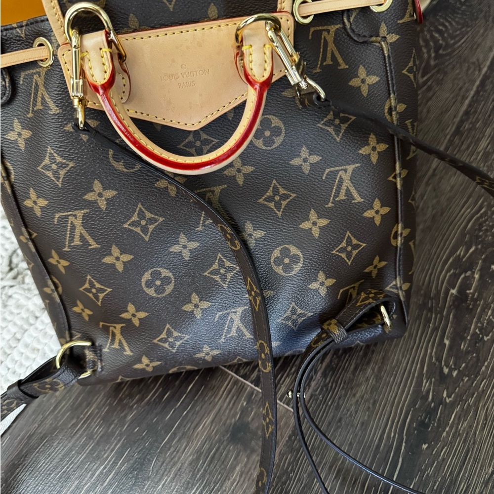 Louis Vuitton Monogram Excursion Canvas Backpack - image 3
